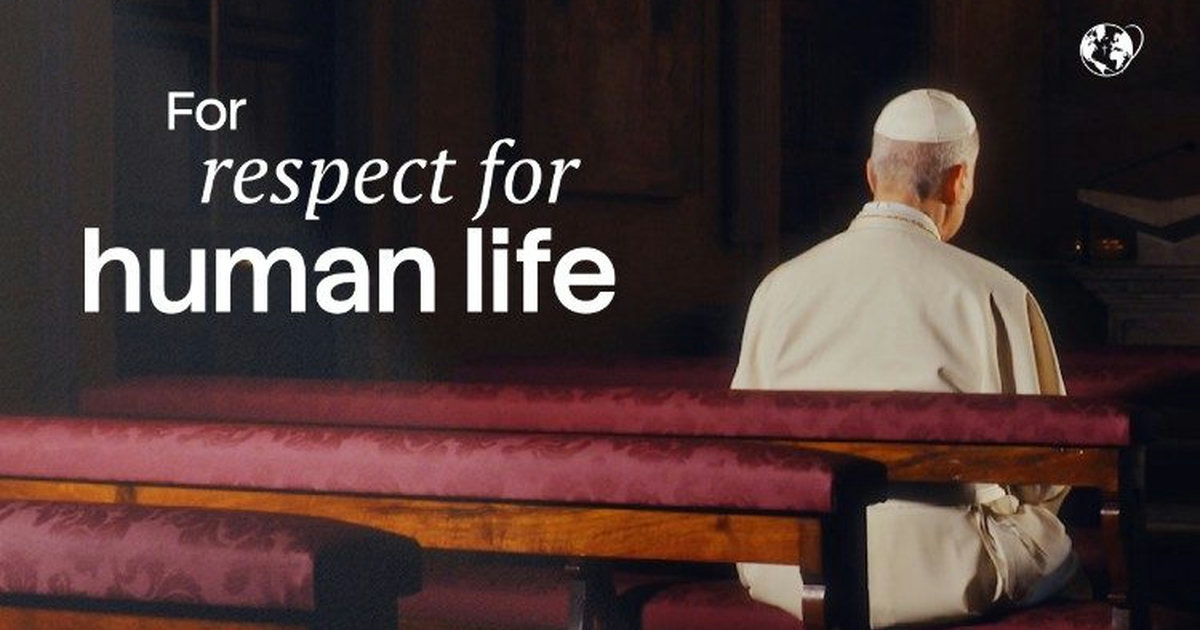 Pope Leo XIV Calls for Respect for Human Life
