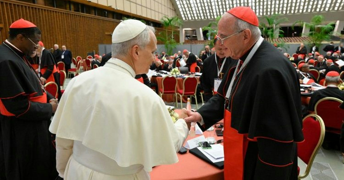 Cardinal Brislin Discusses Progress at Extraordinary Consistory