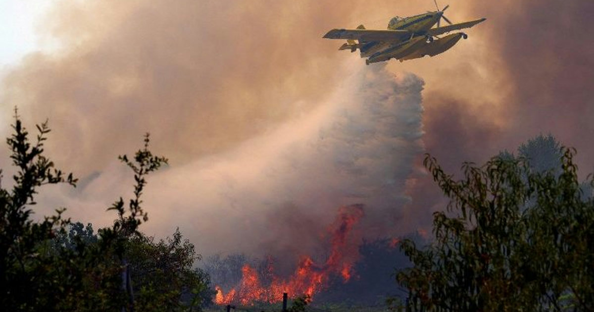 Papa Leone XIV prega per le vittime degli incendi in Europa